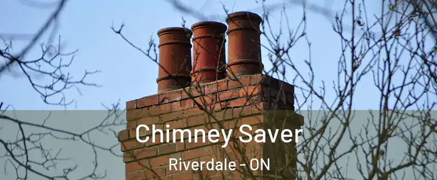  Chimney Saver Riverdale - ON