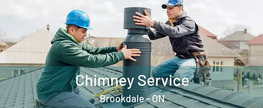  Chimney Service Brookdale - ON