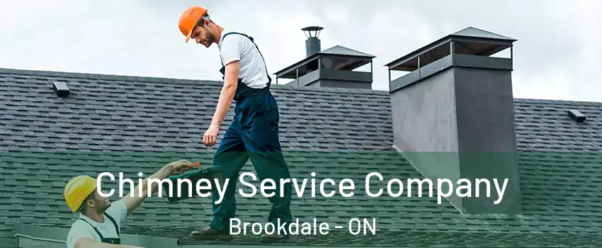  Chimney Service Company Brookdale - ON