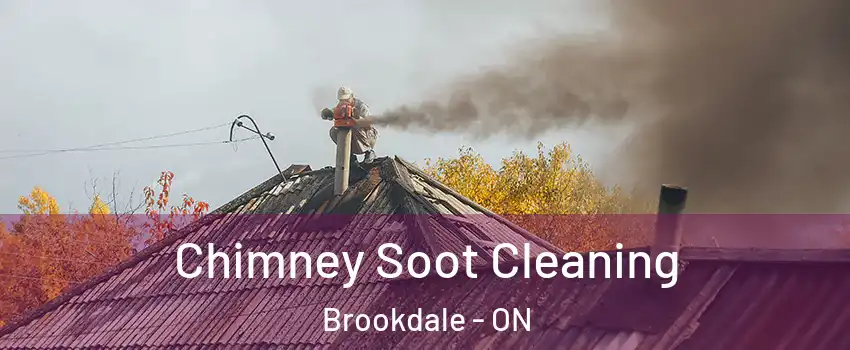  Chimney Soot Cleaning Brookdale - ON