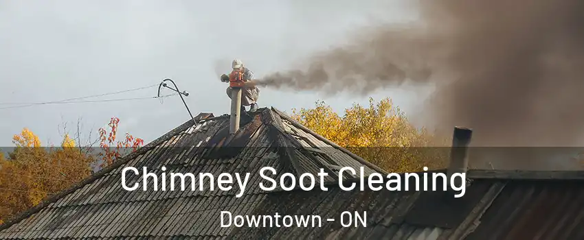  Chimney Soot Cleaning Downtown - ON