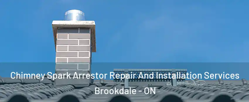  Chimney Spark Arrestor Repair And Installation Services Brookdale - ON