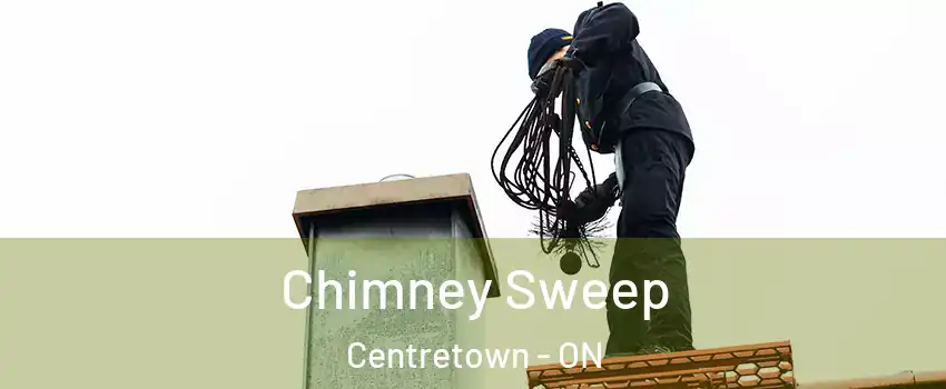  Chimney Sweep Centretown - ON