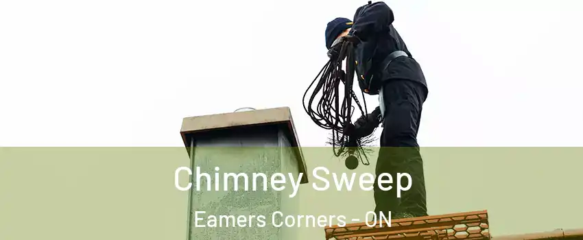  Chimney Sweep Eamers Corners - ON