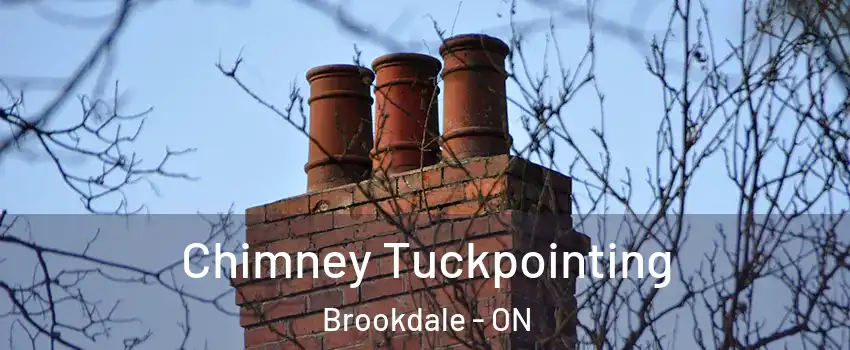  Chimney Tuckpointing Brookdale - ON