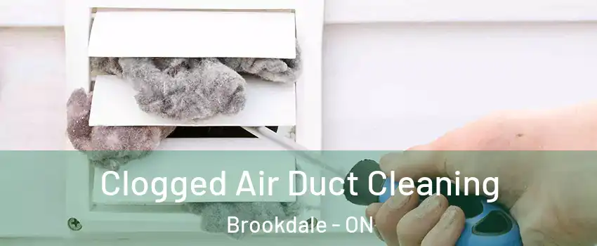  Clogged Air Duct Cleaning Brookdale - ON