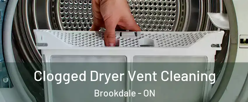  Clogged Dryer Vent Cleaning Brookdale - ON