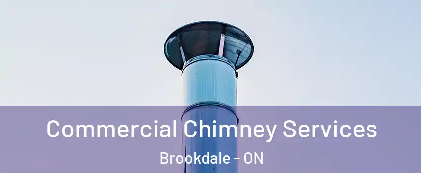 Commercial Chimney Services Brookdale - ON