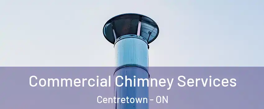  Commercial Chimney Services Centretown - ON