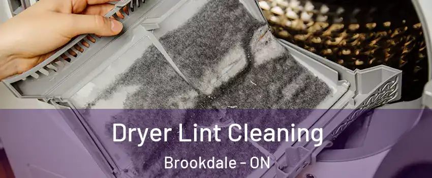  Dryer Lint Cleaning Brookdale - ON
