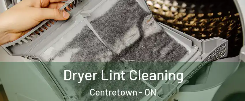  Dryer Lint Cleaning Centretown - ON