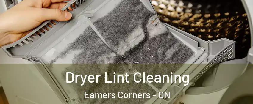  Dryer Lint Cleaning Eamers Corners - ON