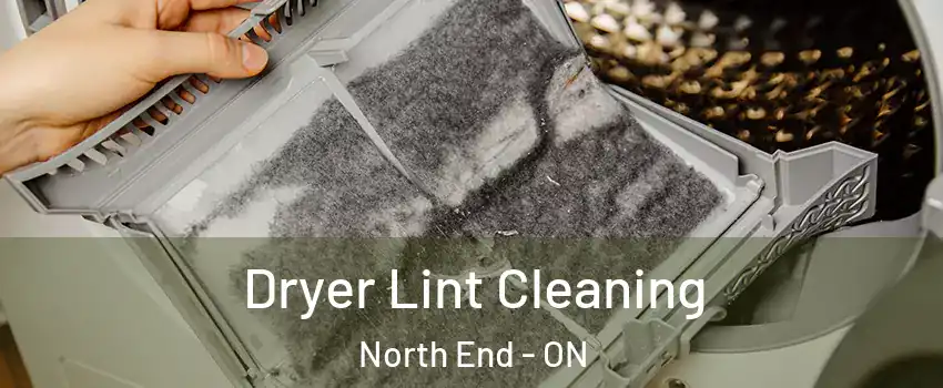  Dryer Lint Cleaning North End - ON