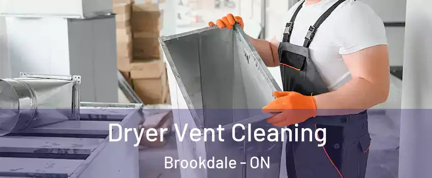  Dryer Vent Cleaning Brookdale - ON