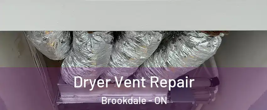  Dryer Vent Repair Brookdale - ON