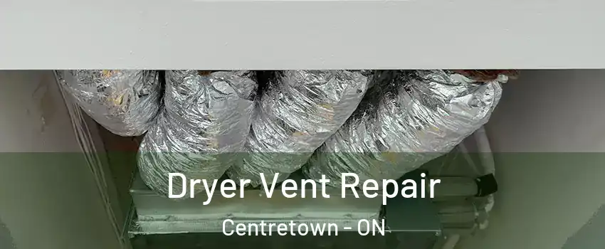  Dryer Vent Repair Centretown - ON