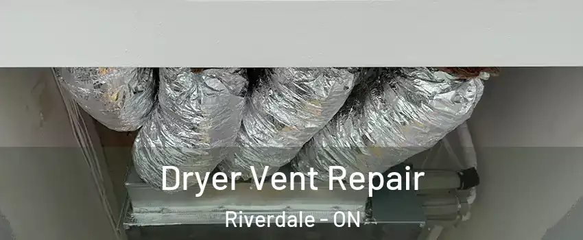 Dryer Vent Repair Riverdale - ON