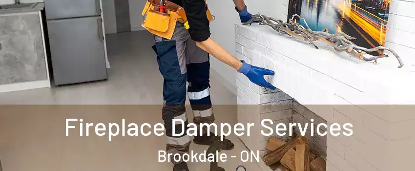  Fireplace Damper Services Brookdale - ON