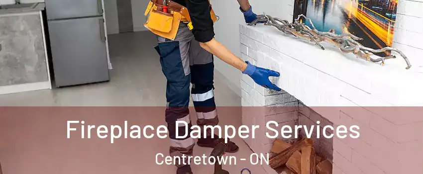  Fireplace Damper Services Centretown - ON