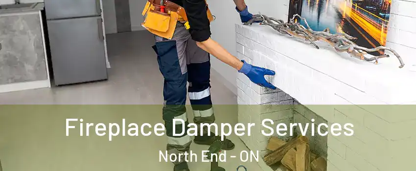  Fireplace Damper Services North End - ON