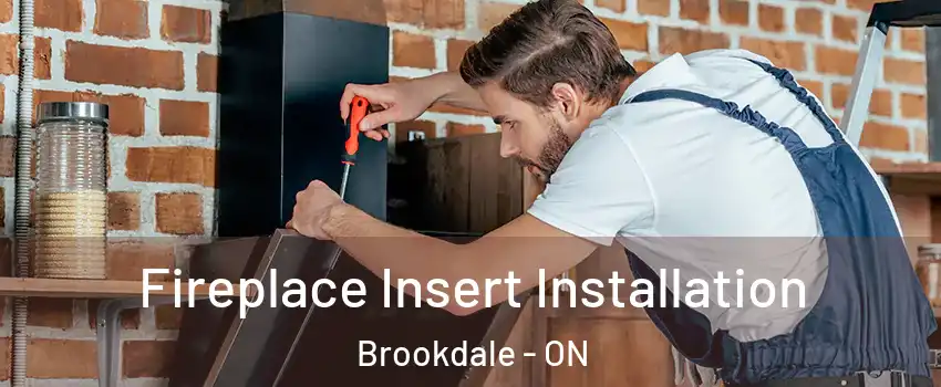  Fireplace Insert Installation Brookdale - ON