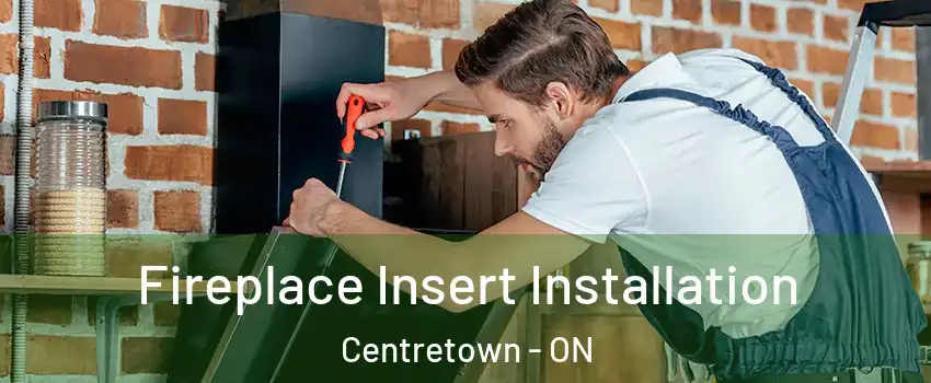 Fireplace Insert Installation Centretown - ON