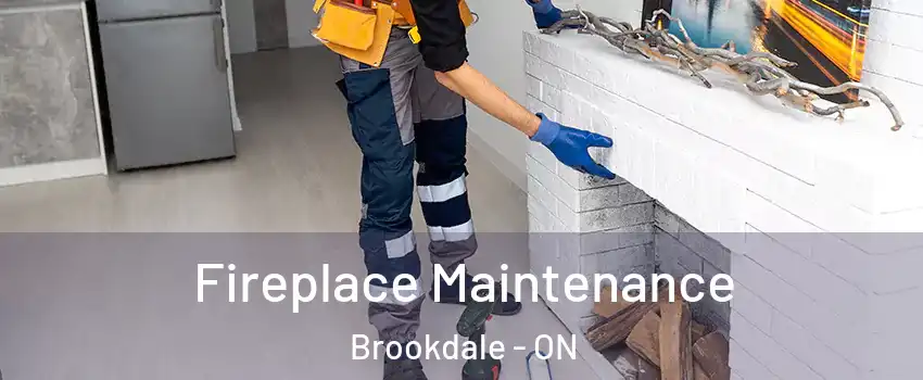  Fireplace Maintenance Brookdale - ON