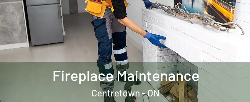  Fireplace Maintenance Centretown - ON