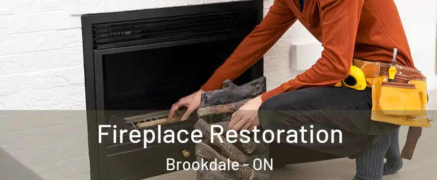  Fireplace Restoration Brookdale - ON
