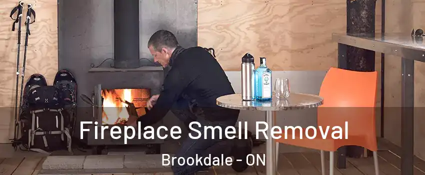  Fireplace Smell Removal Brookdale - ON
