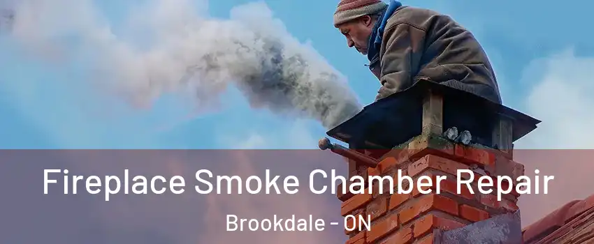  Fireplace Smoke Chamber Repair Brookdale - ON