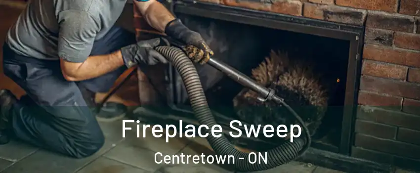  Fireplace Sweep Centretown - ON