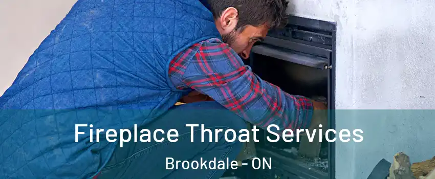  Fireplace Throat Services Brookdale - ON
