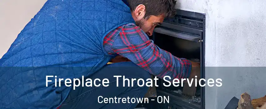  Fireplace Throat Services Centretown - ON
