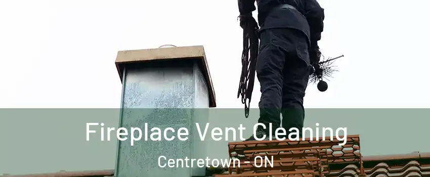  Fireplace Vent Cleaning Centretown - ON