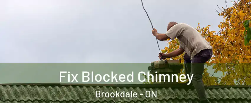  Fix Blocked Chimney Brookdale - ON