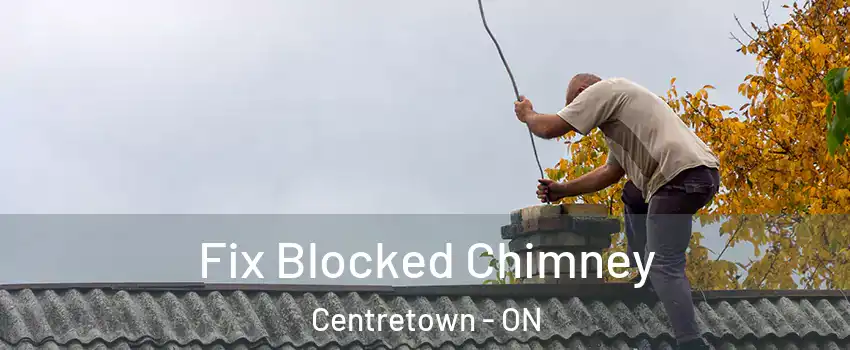  Fix Blocked Chimney Centretown - ON