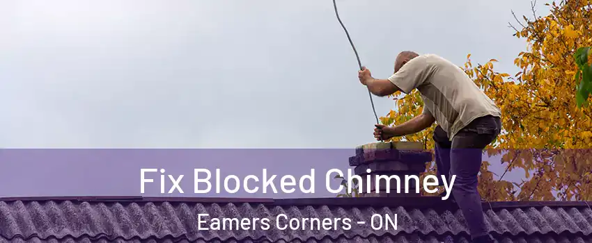  Fix Blocked Chimney Eamers Corners - ON
