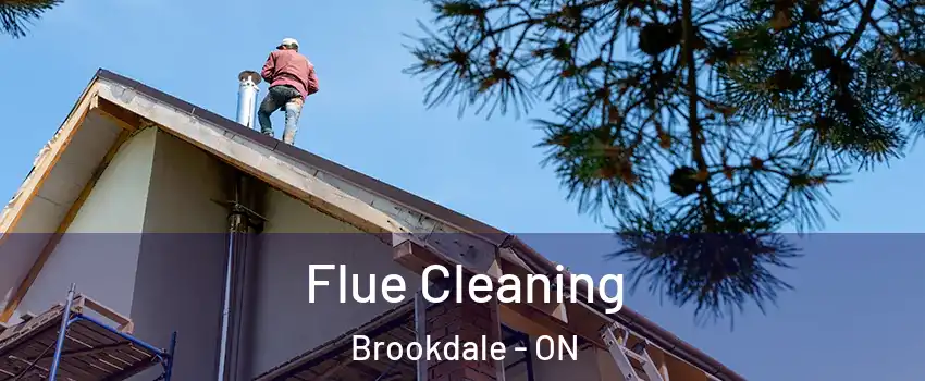  Flue Cleaning Brookdale - ON