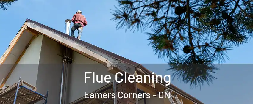  Flue Cleaning Eamers Corners - ON