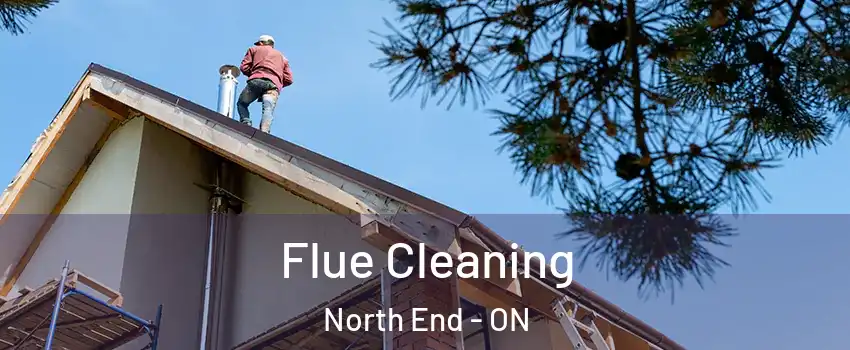  Flue Cleaning North End - ON