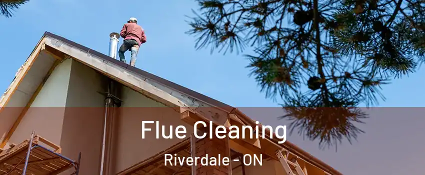  Flue Cleaning Riverdale - ON