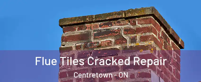  Flue Tiles Cracked Repair Centretown - ON
