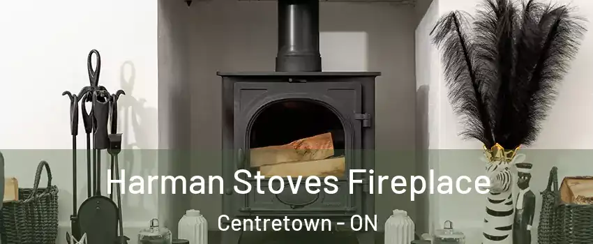  Harman Stoves Fireplace Centretown - ON
