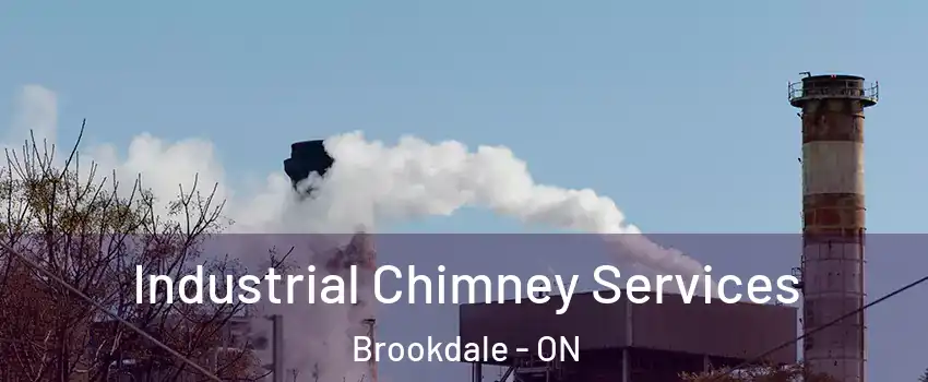  Industrial Chimney Services Brookdale - ON