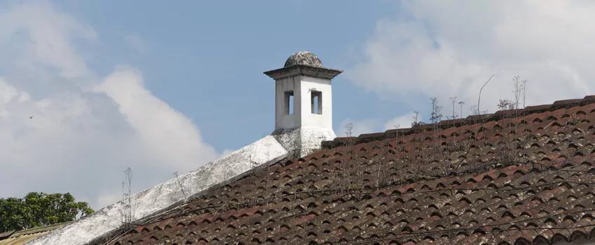Wind-Resistant Chimney Caps Installation and Repair Services in Riverdale, Ontario