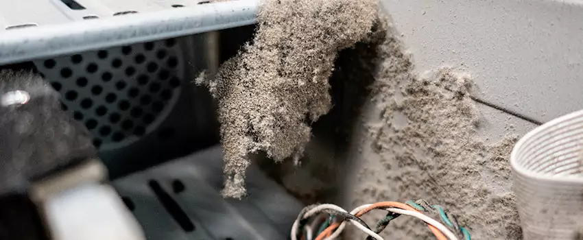 Clogged Dryer Vent Lint Cleaning in Riverdale, Ontario