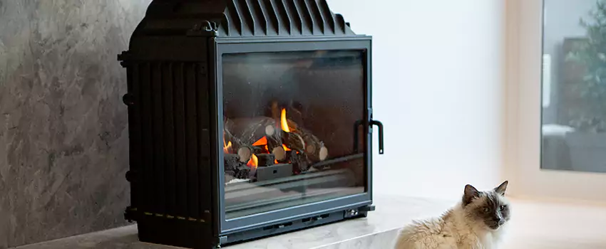 Fireplace Damaged Damper Frame Repair Services in Riverdale, Ontario
