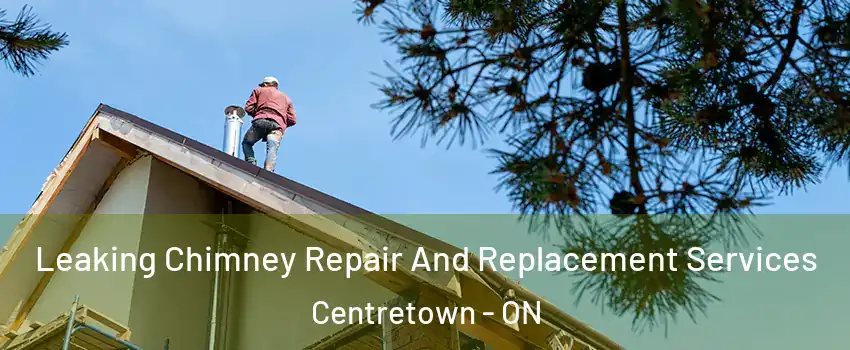  Leaking Chimney Repair And Replacement Services Centretown - ON