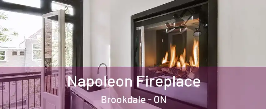  Napoleon Fireplace Brookdale - ON